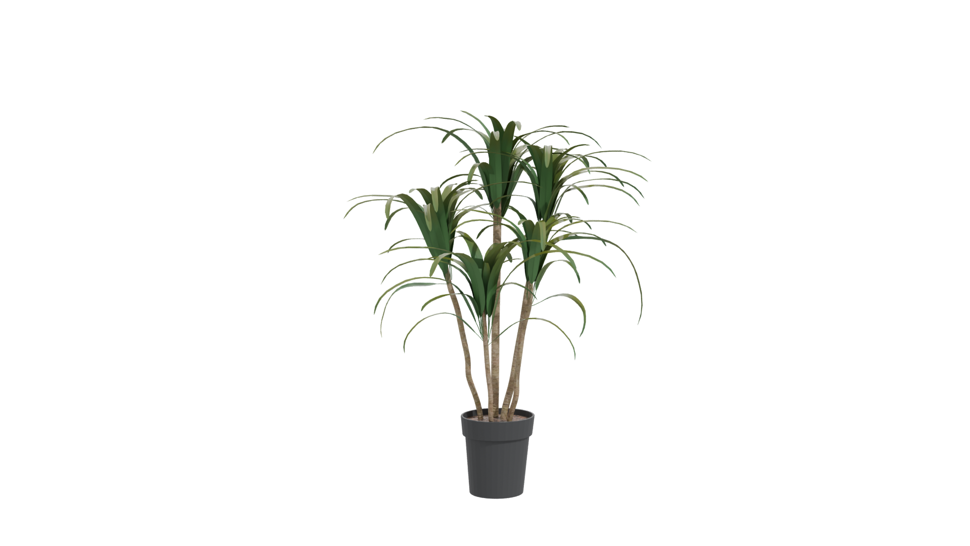 Stylized Potted Plant Model - Professional 3D Model Render 11