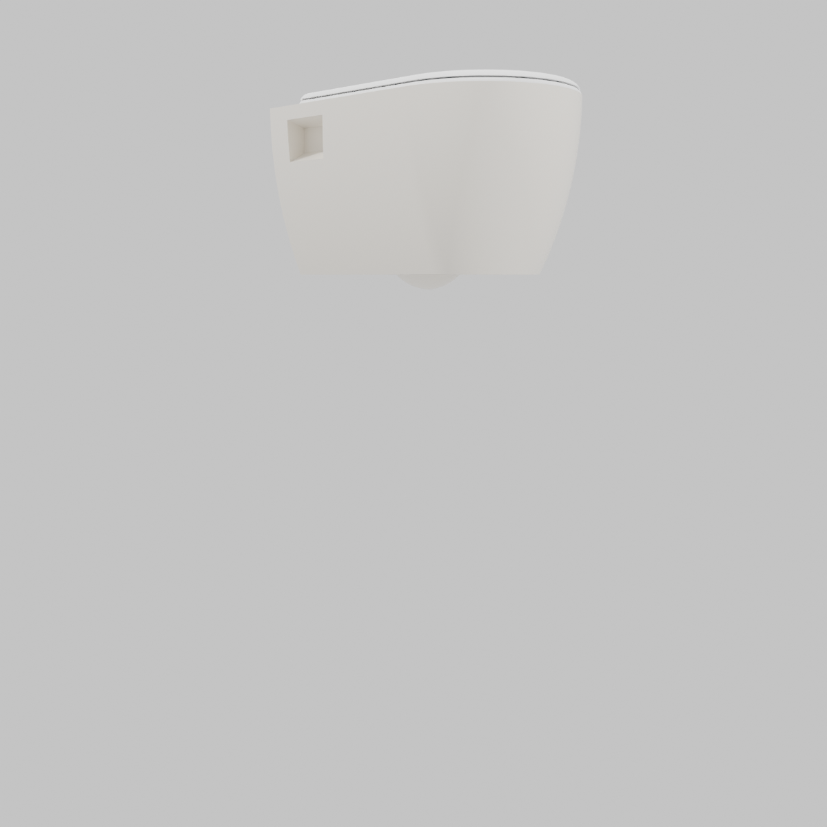 Sanitario Loto Suspendido