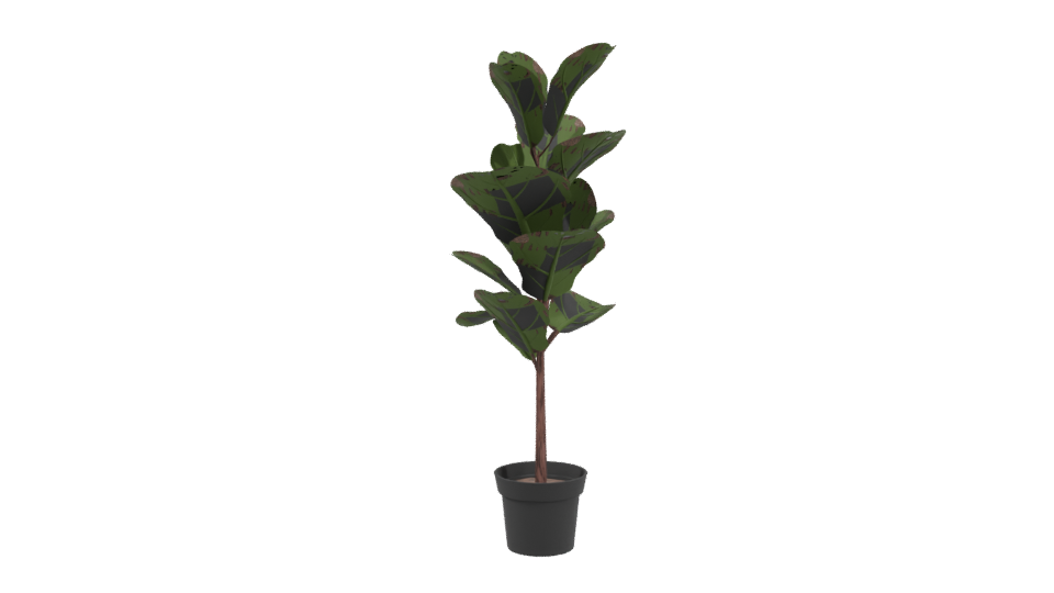 Realistic Indoor Plant Model - Professional 3D Model Render 3
