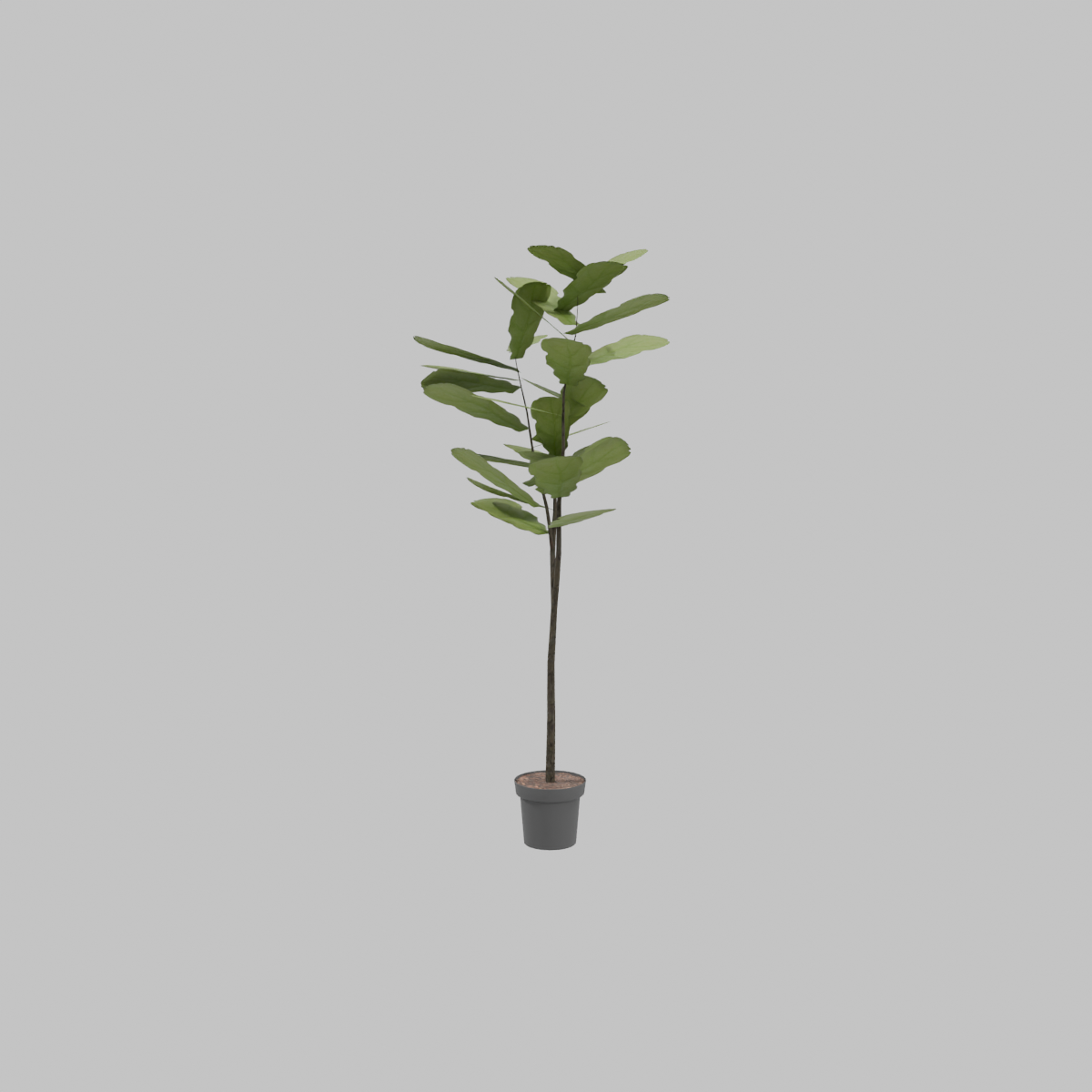 Planta_artificial_Lyrata_188cm