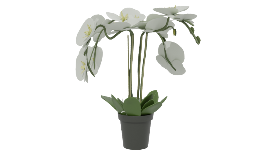 Elegant Orchid Plant 3D Model - Professional 3D Model Render 13