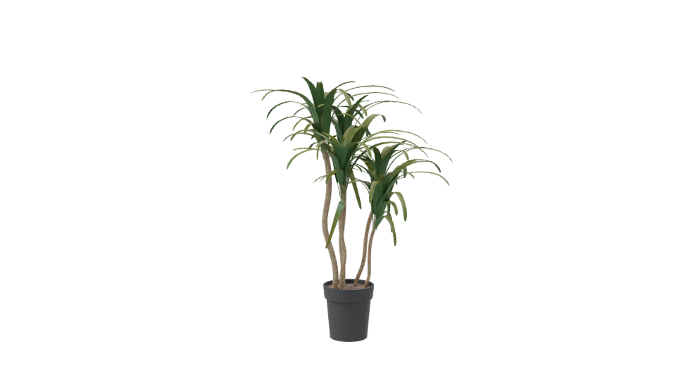 Stylized Pot Plant 3D Model - Professional 3D Model Render 8