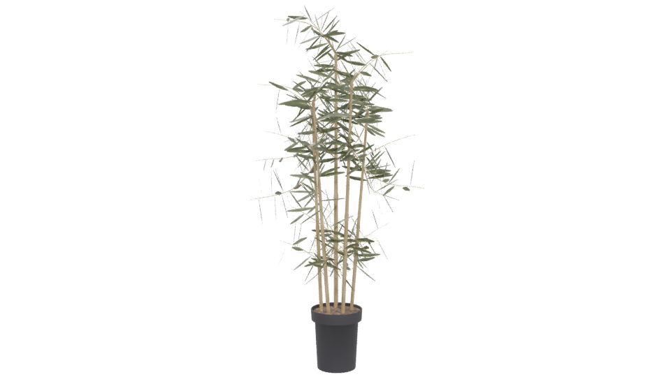 Artificial Bamboo Plant 3D Model - Professional 3D Model Render 5