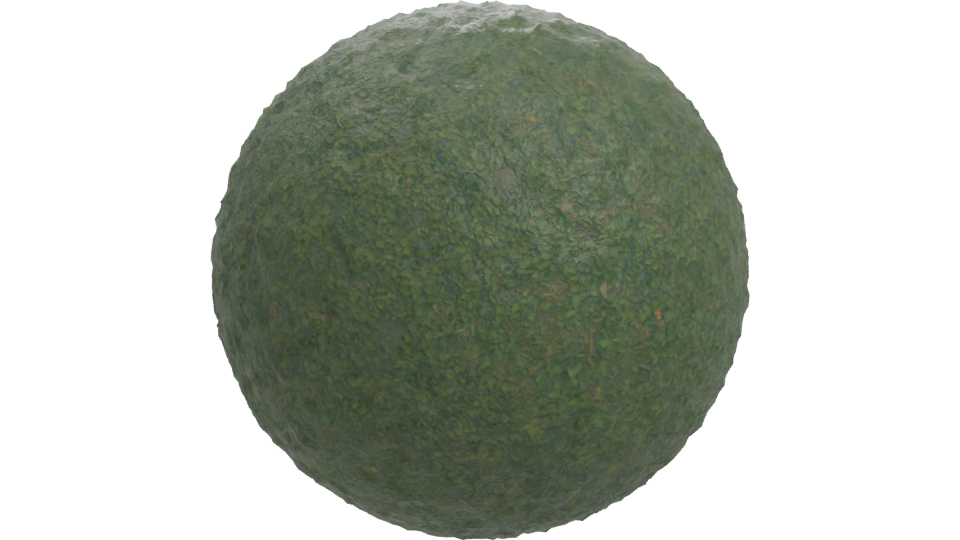 Realistic Green Grass Terrain 3D Model - Professional 3D Model Render 11