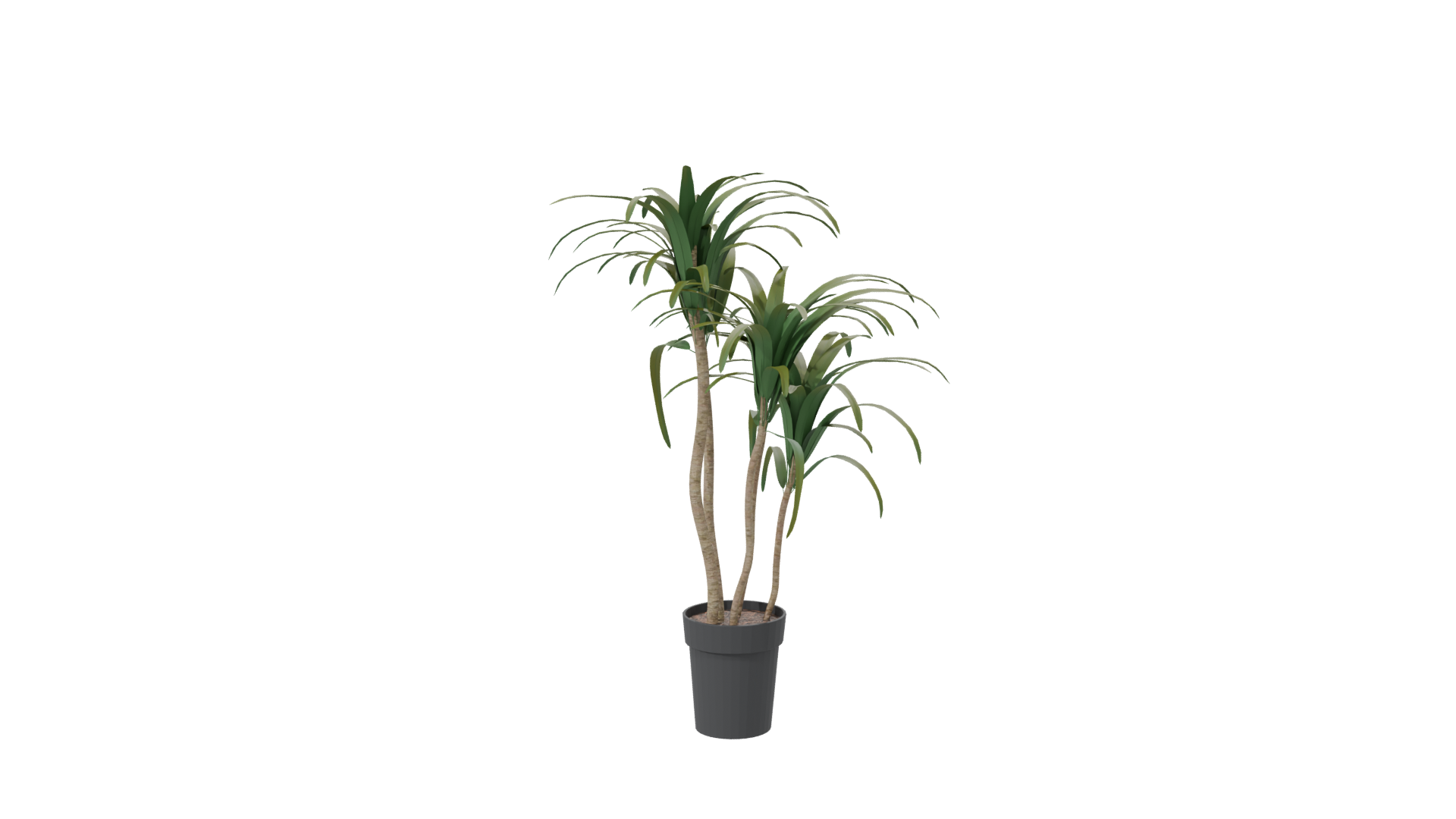 Stylized Potted Plant Model - Professional 3D Model Render 7