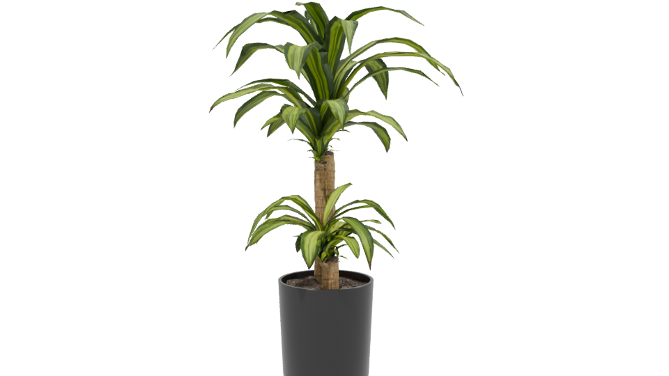Stylish Indoor Plant Model 3D - Professional 3D Model Render 2