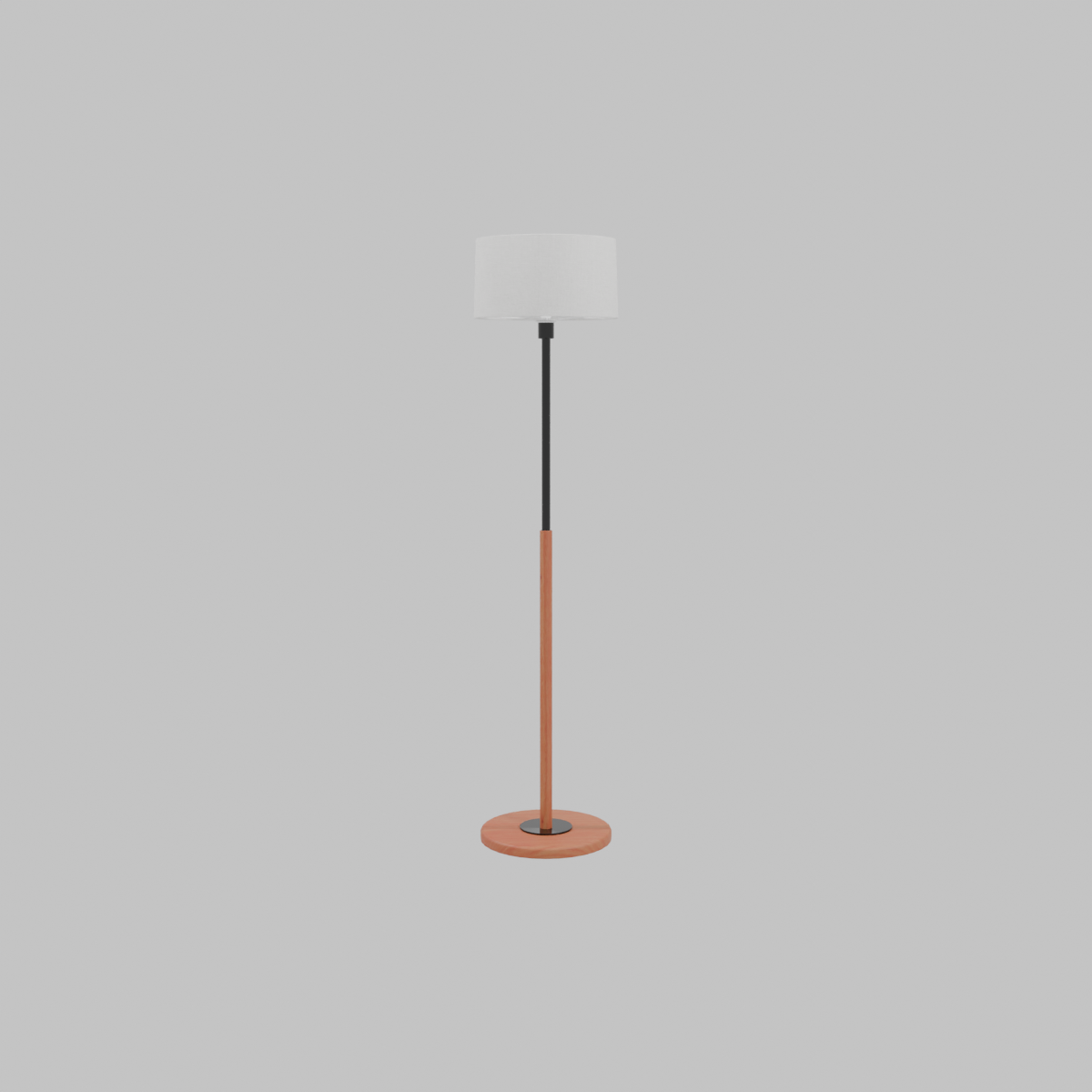 Modern Floor Lamp 3D Model - Professional 3D Model Render 13