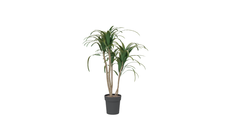 Stylized Pot Plant 3D Model - Professional 3D Model Render 6