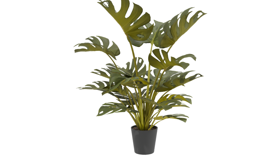 Lush Green Monstera Plant 3D Model - Professional 3D Model Render 2