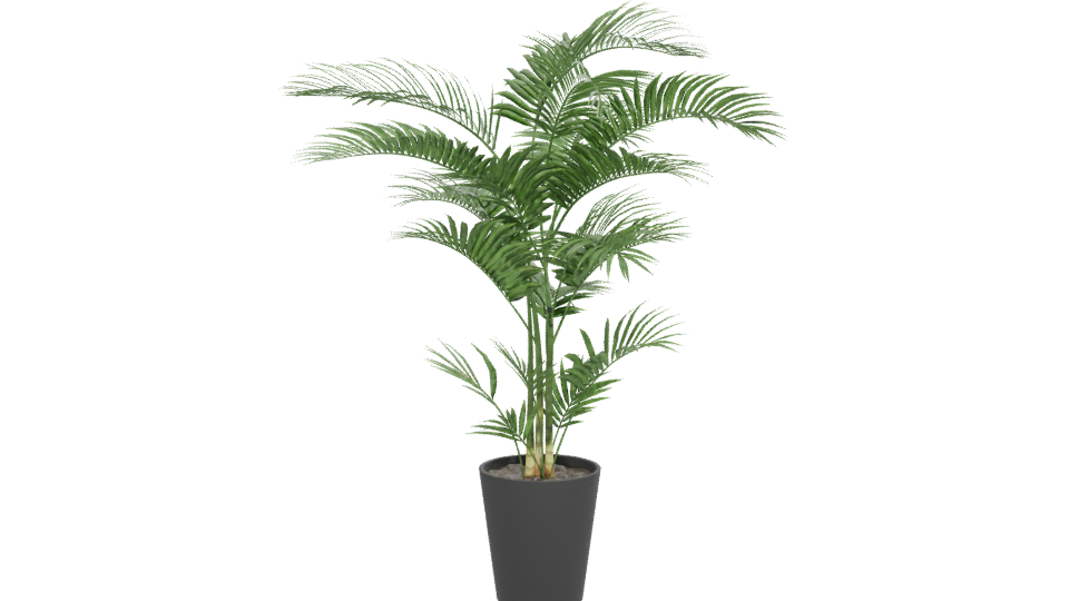 Lifelike Indoor Plant Model - Professional 3D Model Render 12
