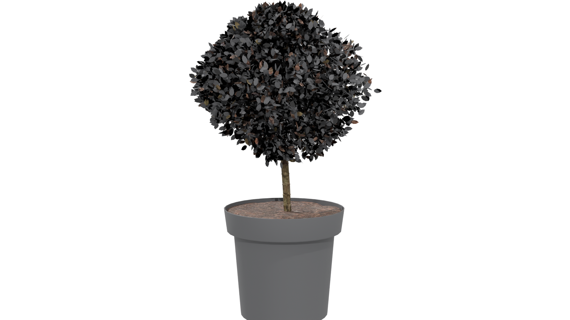 Stylized Potted Topiary Plant - Professional 3D Model Render 5