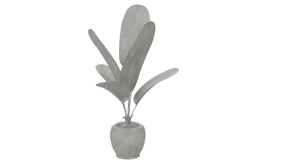 Stylish Potted Plant 3D Model - Professional 3D Model Render 6