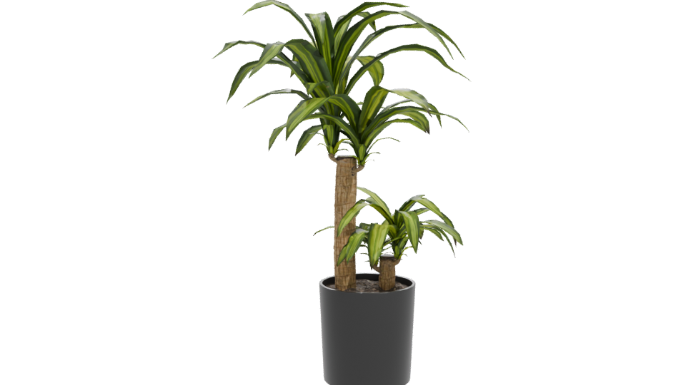 Stylish Indoor Plant Model 3D - Professional 3D Model Render 11