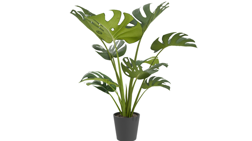 Stylized Indoor Plant Model 3D - Professional 3D Model Render 10
