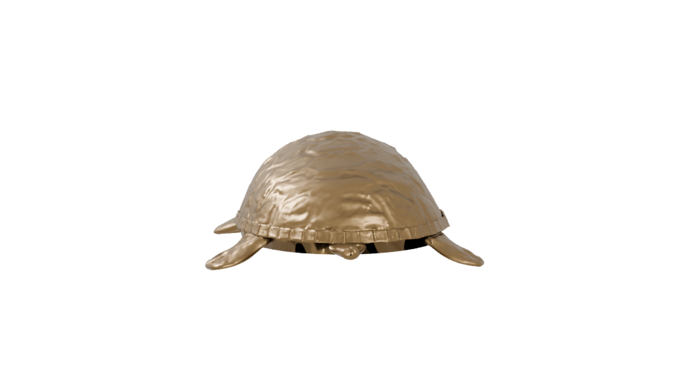 Stylized Golden Turtle Model 3D - Professional 3D Model Render 5