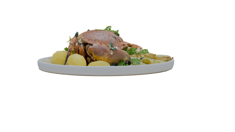 Realistic Crab Dish 3D Model - Professional 3D Model Render 12