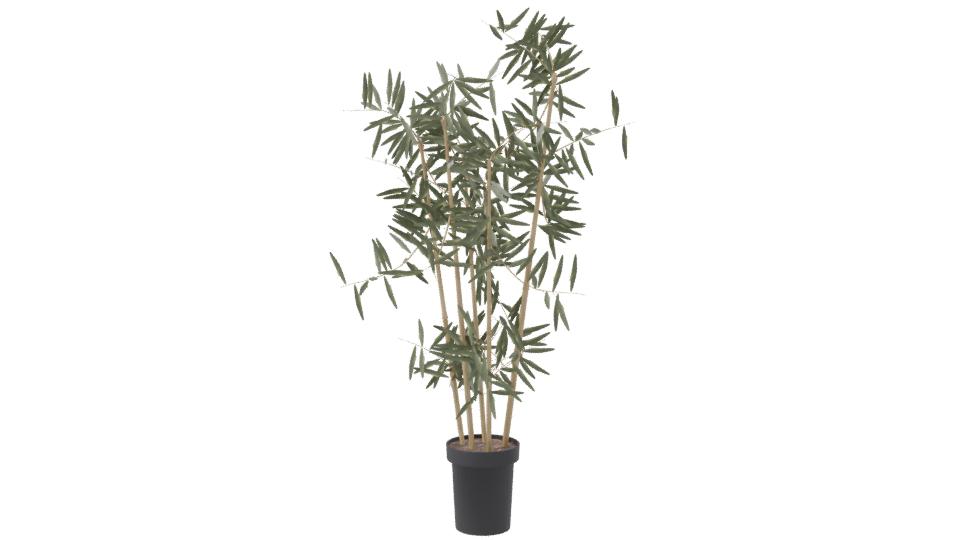 Artificial Bamboo Plant 3D Model - Professional 3D Model Render 8