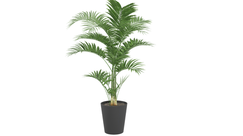 Lifelike Indoor Plant Model - Professional 3D Model Render 4