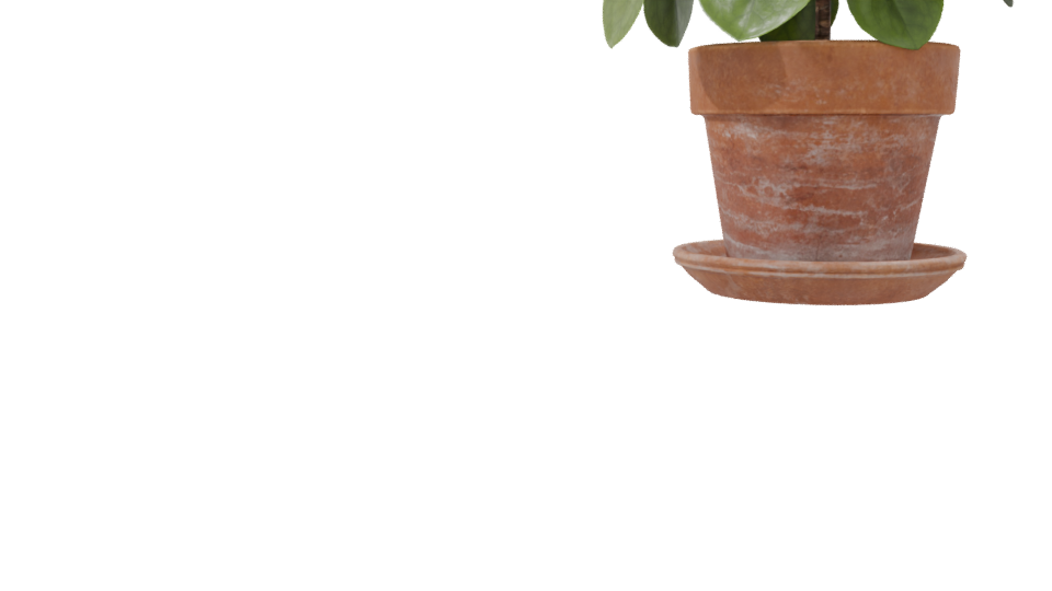 Realistic Potted Plant 3D Model - Professional 3D Model Render 8