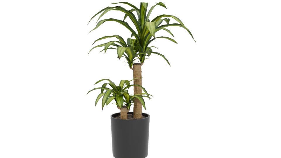 Stylish Indoor Plant Model 3D - Professional 3D Model Render 4