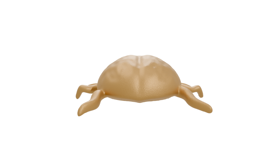 Stylized Golden Turtle 3D Model - Professional 3D Model Render 11