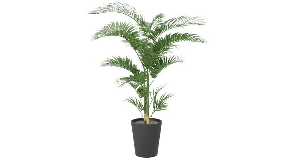 Lifelike Indoor Plant Model - Professional 3D Model Render 7