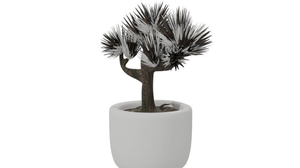 Stylized Bonsai Tree Model 3D - Professional 3D Model Render 7