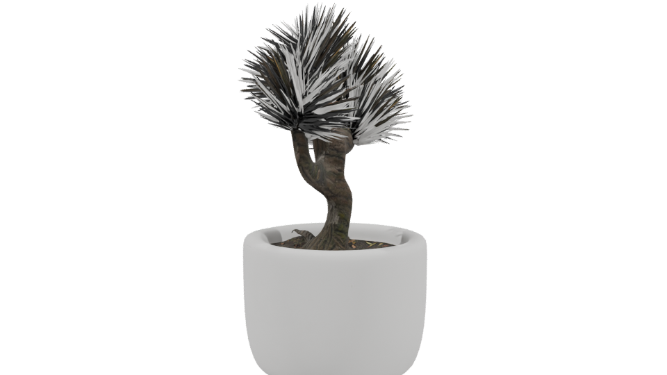 Stylized Bonsai Tree Model 3D - Professional 3D Model Render 3