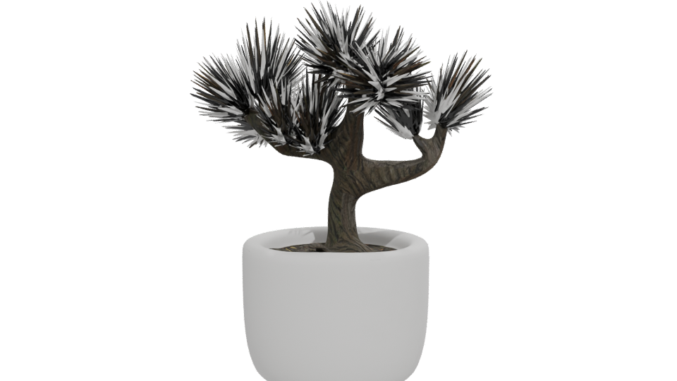 Stylized Bonsai Tree Model 3D - Professional 3D Model Render 12