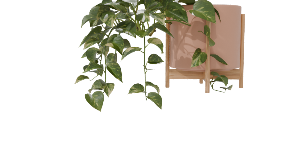 Pothos Plant in Pot 3D Model - Professional 3D Model Render 7