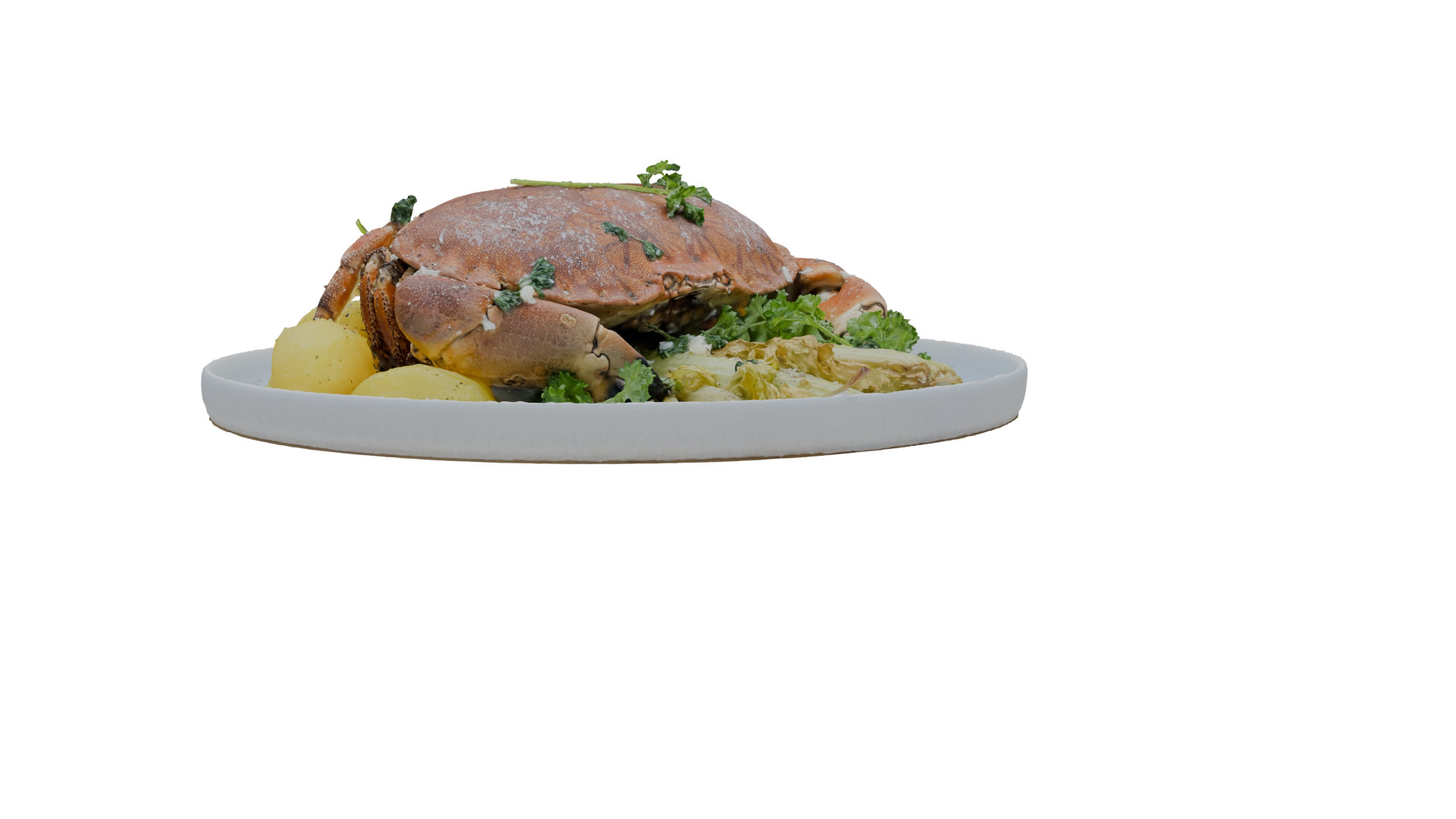 Realistic Crab Dish 3D Model - Professional 3D Model Render 25