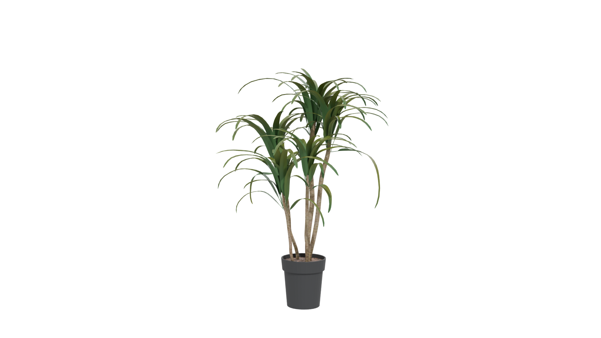 Stylized Potted Plant Model - Professional 3D Model Render 12