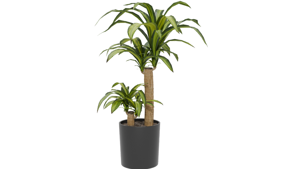 Stylish Indoor Plant Model 3D - Professional 3D Model Render 5