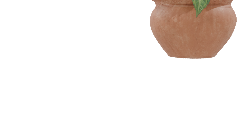 Decorative Potted Plant 3D Model - Professional 3D Model Render 9