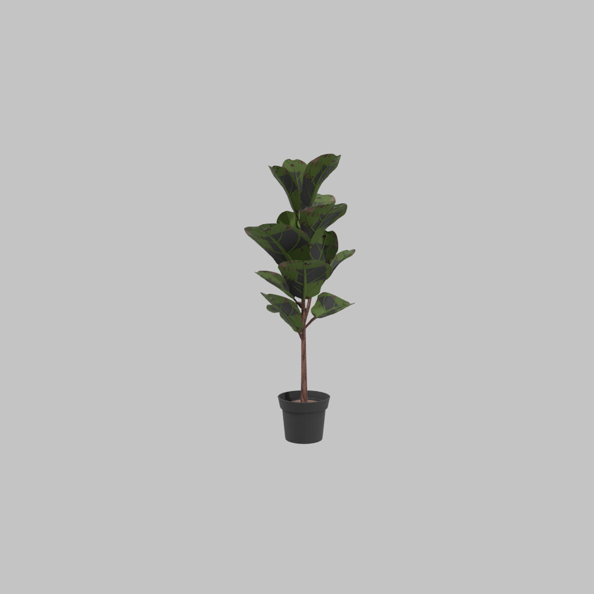 Planta_artificial_ficus_lirata_83