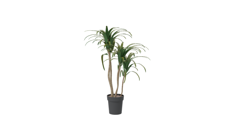Stylized Pot Plant 3D Model - Professional 3D Model Render 7