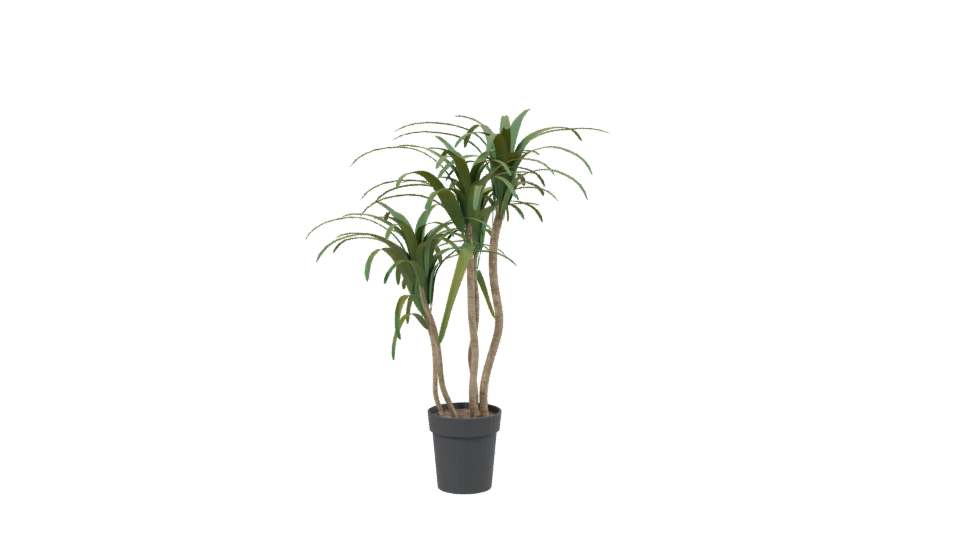 Stylized Pot Plant 3D Model - Professional 3D Model Render 2