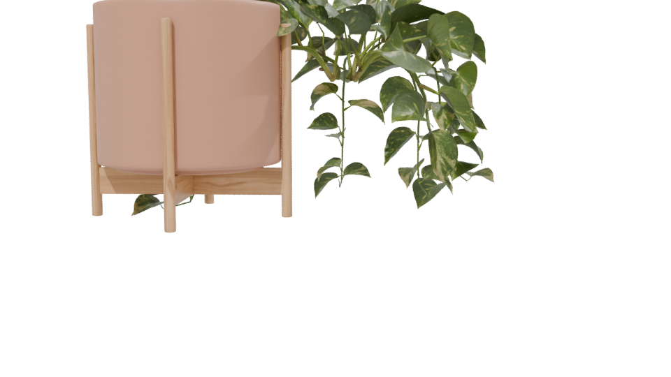 Pothos Plant in Pot 3D Model - Professional 3D Model Render 13