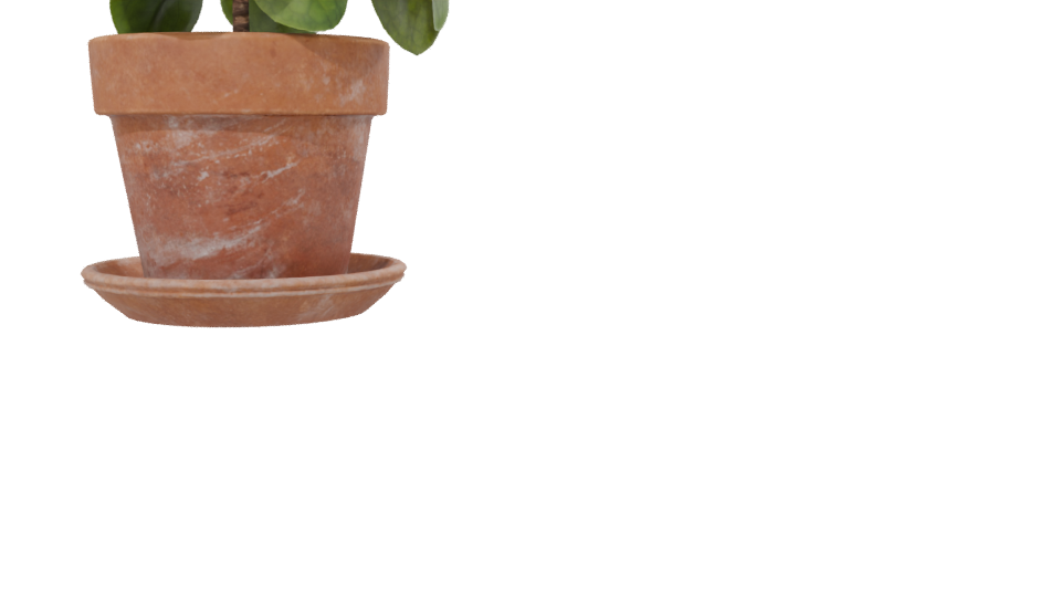 Realistic Potted Plant 3D Model - Professional 3D Model Render 13