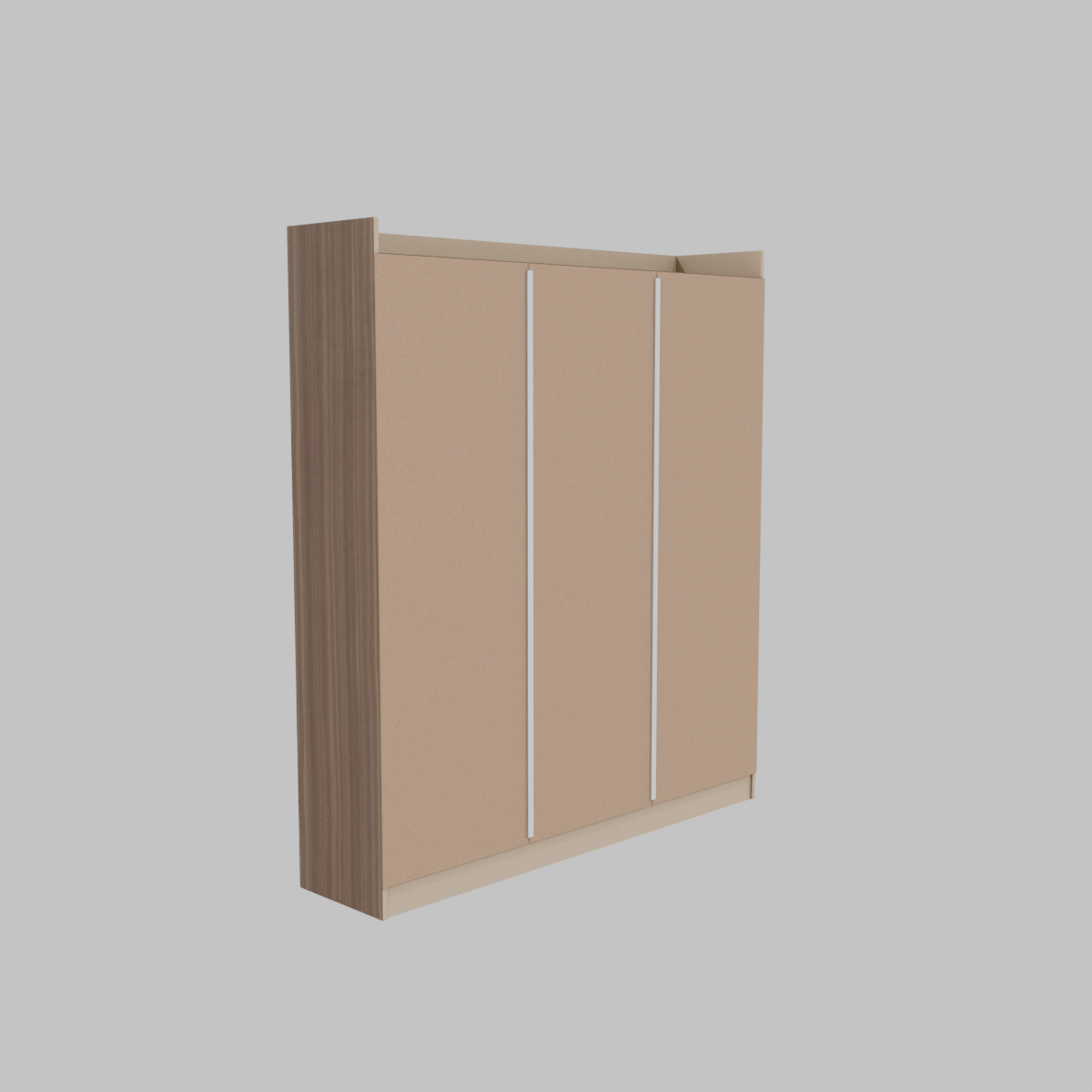 Clóset Y Zapatero 6 Puertas Bicolor