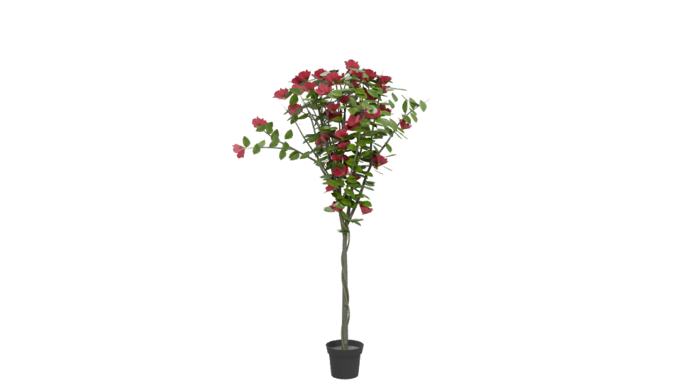 Lifelike Floral Decoration Model - Professional 3D Model Render 5