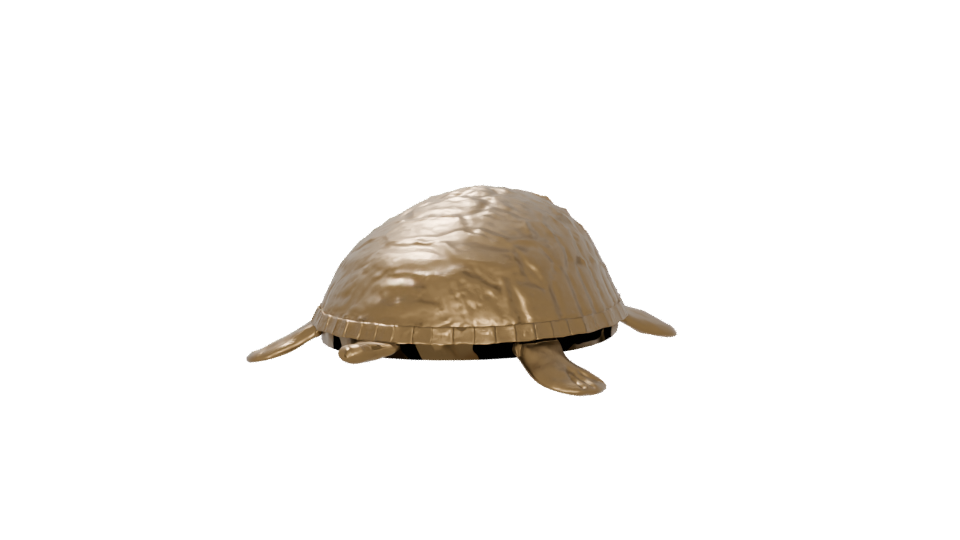 Stylized Golden Turtle Model 3D - Professional 3D Model Render 6