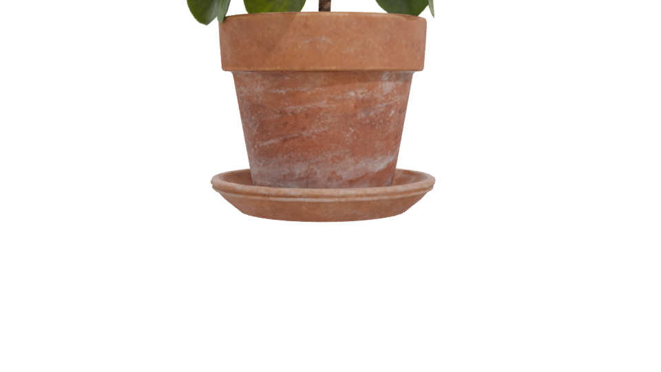 Realistic Potted Plant 3D Model - Professional 3D Model Render 11