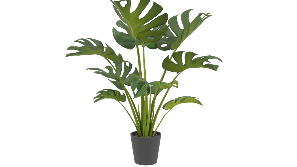Stylized Indoor Plant Model 3D - Professional 3D Model Render 3