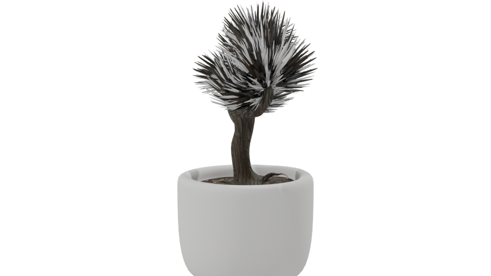 Stylized Bonsai Tree Model 3D - Professional 3D Model Render 8