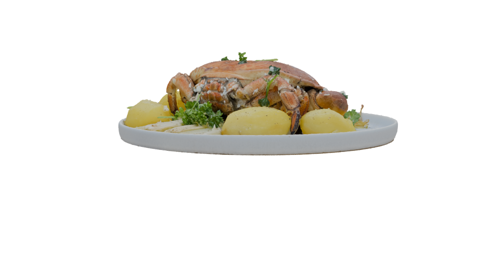 Realistic Crab Dish 3D Model - Professional 3D Model Render 10