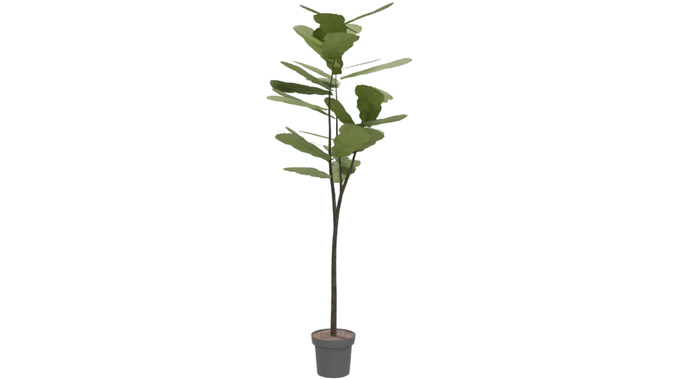 Stylized Indoor Plant 3D Model for Home Decor - Professional 3D Model Render 5
