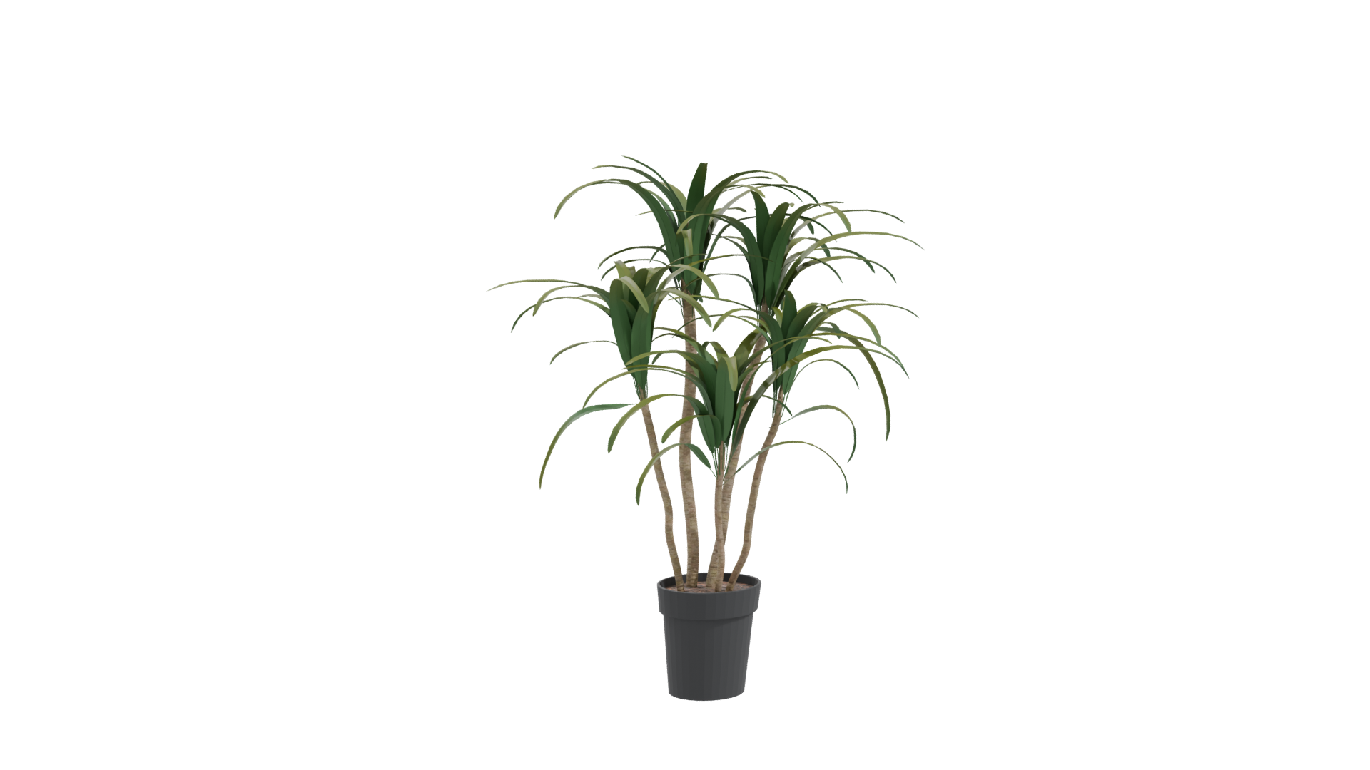 Stylized Potted Plant Model - Professional 3D Model Render 10