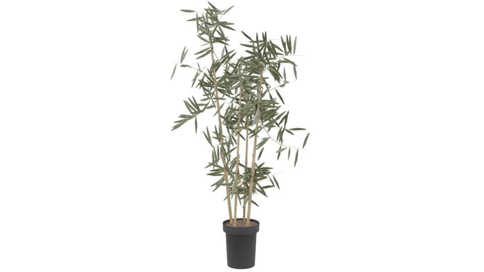 Artificial Bamboo Plant 3D Model - Professional 3D Model Render 3