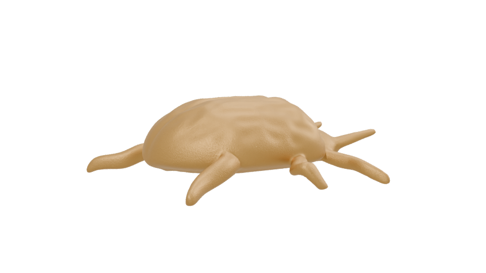 Stylized Golden Turtle 3D Model - Professional 3D Model Render 13